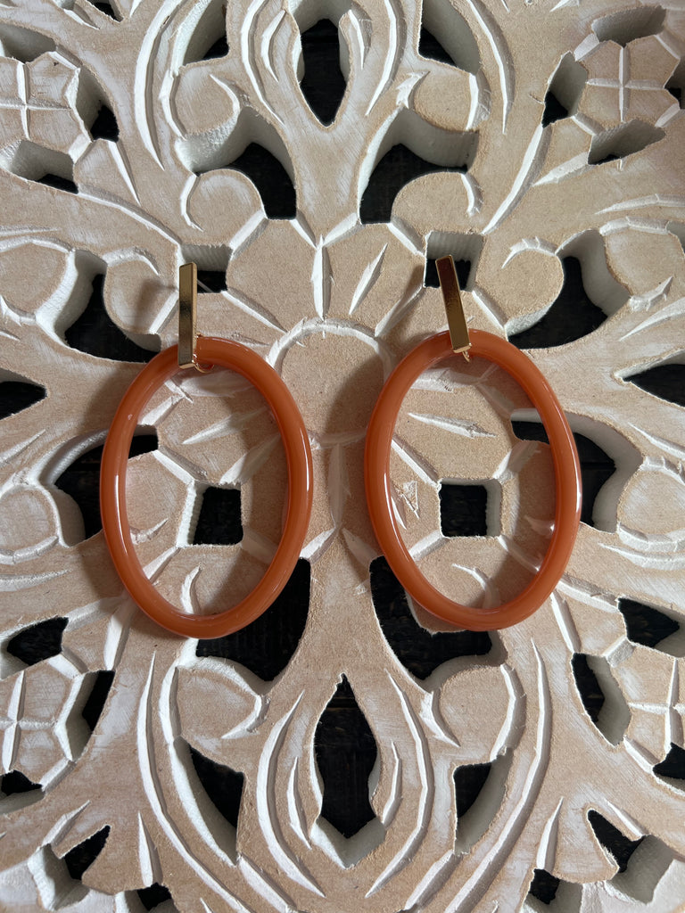 Fall Brown Earrings